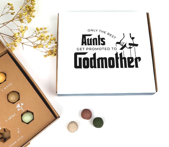 Bloembommetjes - Zaadjes - Cadeau meter - godmother - only the best aunts get promoted to godmother - Bloemen - Zaad - Meter vragen - Wil je mijn meter zijn
