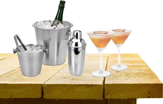 Ensemble de bar complet avec 4 verres à cocktail Martini et shaker à  cocktail | bol