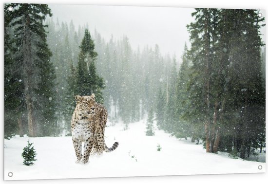 WallClassics - Tuinposter – Luipaard in de Sneeuw - 120x80 cm Foto op Tuinposter  (wanddecoratie voor buiten en binnen)