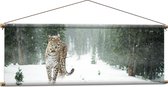 WallClassics - Textielposter - Luipaard in de Sneeuw - 120x40 cm Foto op Textiel