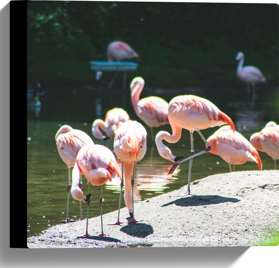 WallClassics - Canvas  - Roze Flamingo's aan het Water - 30x30 cm Foto op Canvas Schilderij (Wanddecoratie op Canvas)