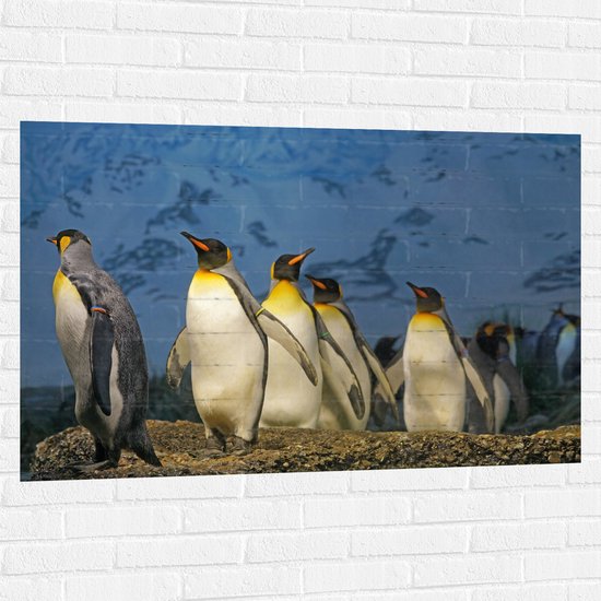 WallClassics - Muursticker - Keizer Pinguïns op een Rijtje - 120x80 cm Foto op Muursticker