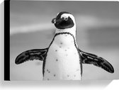 WallClassics - Canvas  - Vrolijke Pinguïn Zwart / Wit - 40x30 cm Foto op Canvas Schilderij (Wanddecoratie op Canvas)