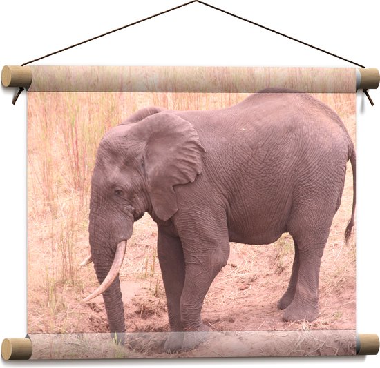 WallClassics - Textielposter - Afrikaanse Olifant - 40x30 cm Foto op Textiel