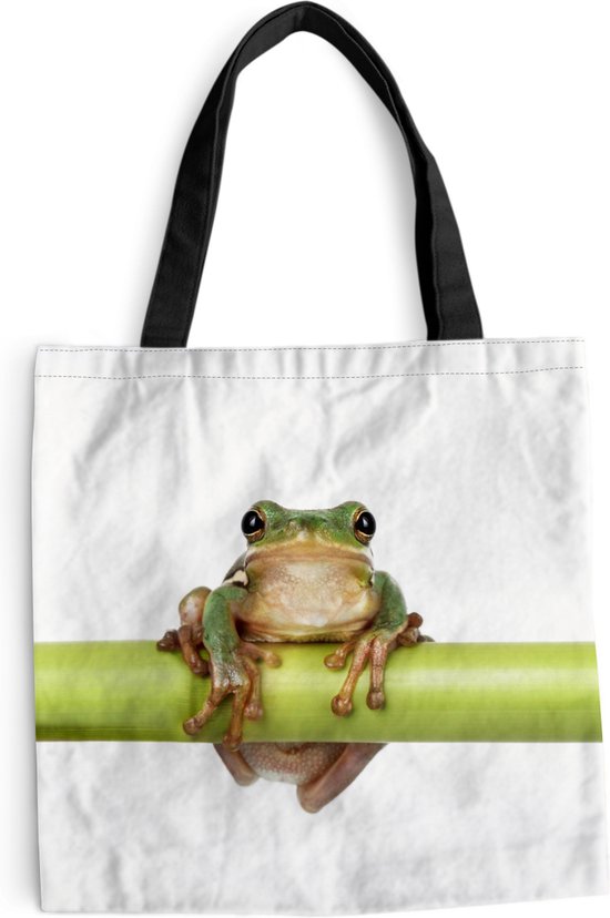 Sac Bandoulière - Sac De Plage - Shopper Grenouille - Bamboe - Wit - 45x45 cm - Sac Coton