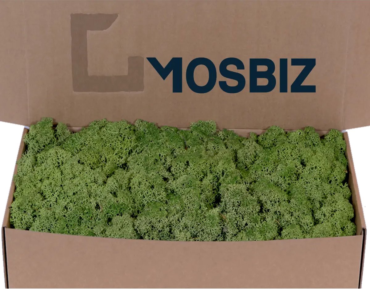 MosBiz Rendiermos midden groen per 500 gram voor decoraties, mosschilderijen en bloemstukjes