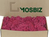 MosBiz Rendiermos Crimson per 500 gram voor decoraties en mosschilderijen
