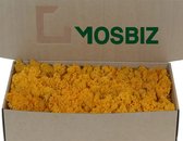 MosBiz Rendiermos Orange per 500 gram voor decoraties en mosschilderijen