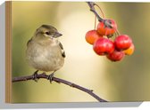 WallClassics - Hout - Vogel bij Rode Besjes - 40x30 cm - 12 mm dik - Foto op Hout (Met Ophangsysteem)