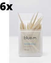 BlueM tandenstokers - 6 x 120 stuks - Voordeelverpakking