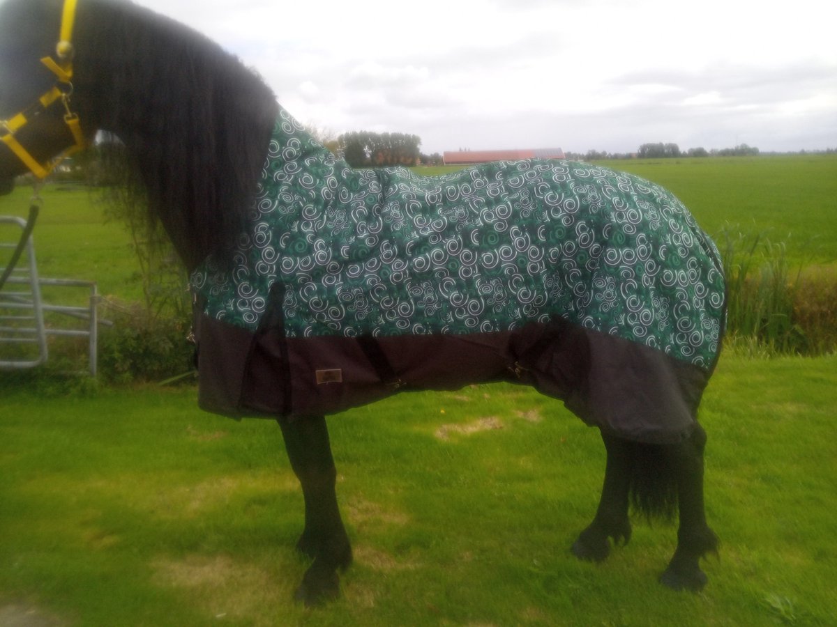 Regendeken luxe 300gram met halve hals Green/swirl buitendeken-175