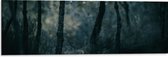 WallClassics - Dibond - Dunne Takken in Donker Bos - 90x30 cm Foto op Aluminium (Met Ophangsysteem)