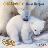 IJsberen Kalender 2023
