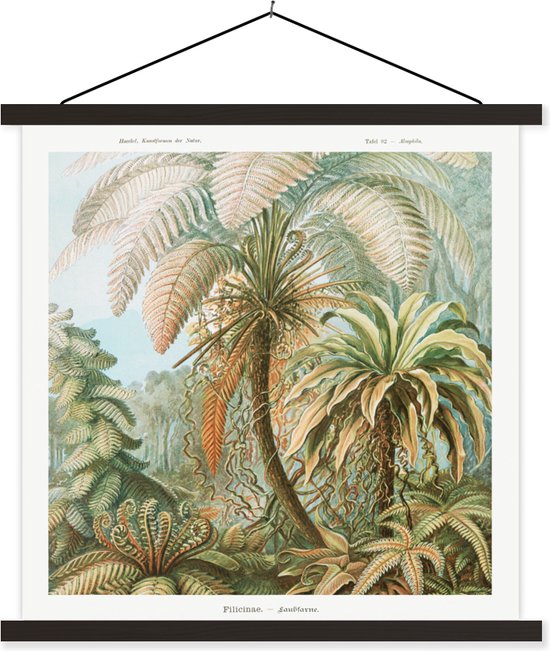 Orchidee-Puzzle Von Ernst Haeckel – 1000 Teile Premium-Puzzle Für Erwachsene, Kunstposter-Motiv