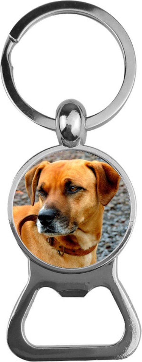 Bieropener Glas - Hond