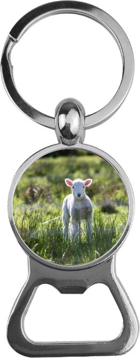 Bieropener Glas - Schaap