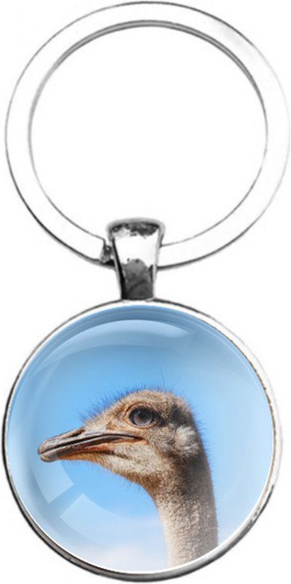 Sleutelhanger Glas - Struisvogel