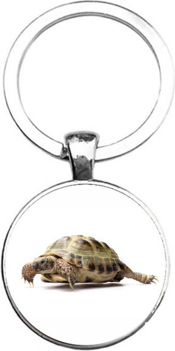 Sleutelhanger Glas - Schildpad