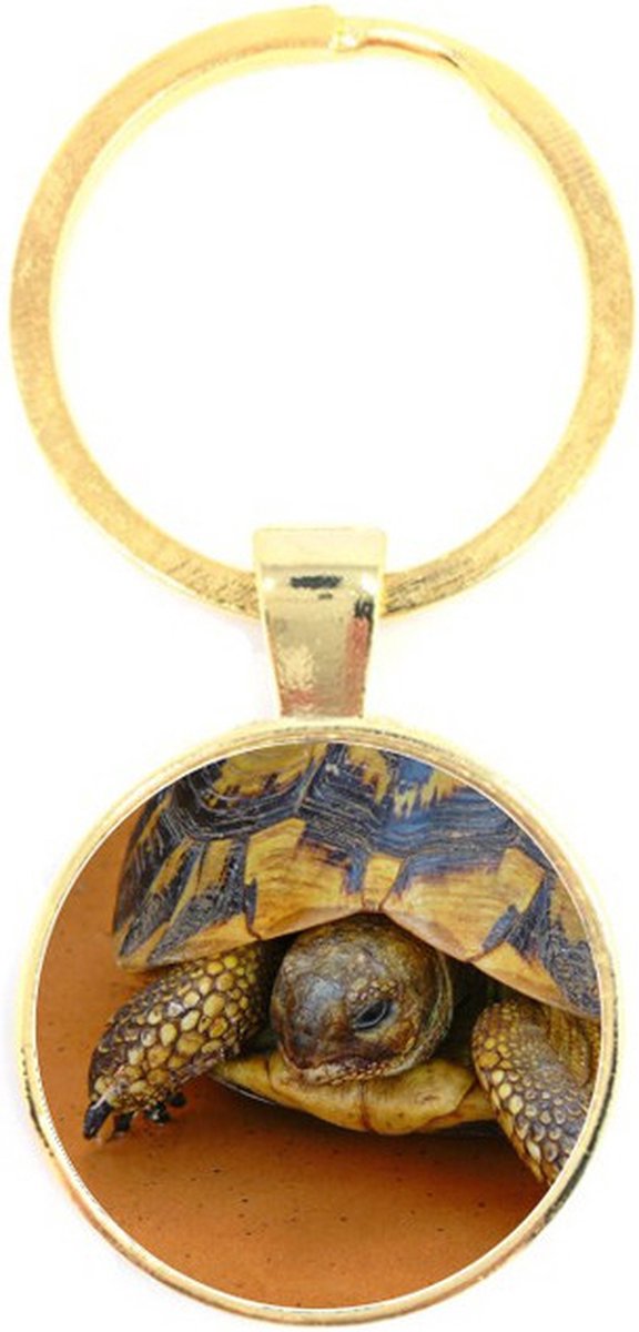 Sleutelhanger Glas - Schildpad