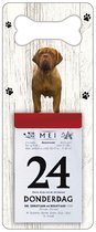 Scheurkalender 2024 Hond: Bordeaux Dog