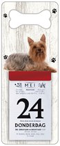 Scheurkalender 2024 Hond: Australische Silky Terier