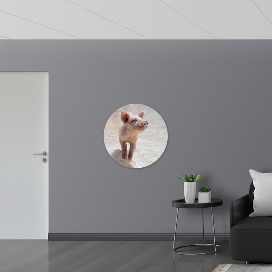 WallClassics - Muursticker Cercle - Porcinet sur la plage - 80x80 cm Photo sur Muursticker