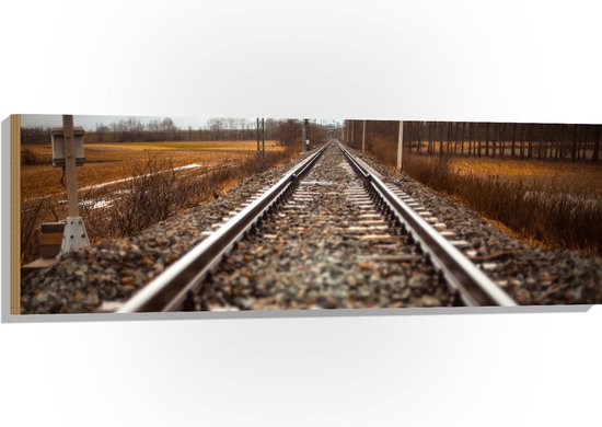 WallClassics - Bois - Gros plan du Rail - 120x40 cm - 12 mm d'épaisseur - Photo sur Bois (Avec Système d'accrochage)