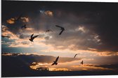 WallClassics - PVC Schuimplaat- Vogels in de Lucht bij Zonsondergang - 90x60 cm Foto op PVC Schuimplaat