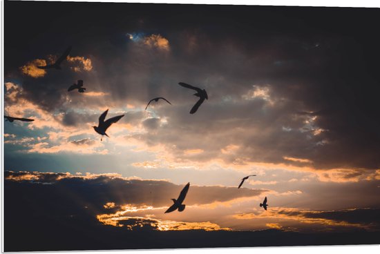 WallClassics - PVC Schuimplaat- Vogels in de Lucht bij Zonsondergang - 90x60 cm Foto op PVC Schuimplaat