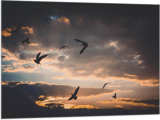 WallClassics - Drapeau - Vogels dans le ciel au coucher du soleil - 100x75 cm Photo sur Drapeau Polyester