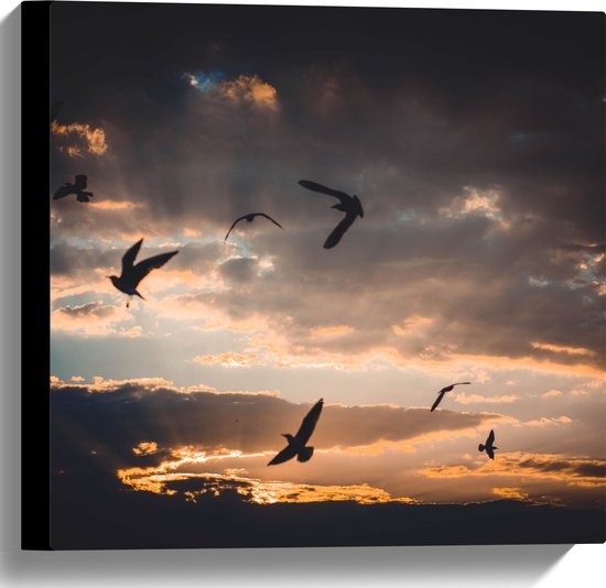 WallClassics - Canvas  - Vogels in de Lucht bij Zonsondergang - 40x40 cm Foto op Canvas Schilderij (Wanddecoratie op Canvas)