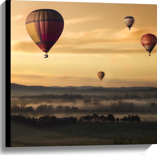 WallClassics - Toile - Ballons à air chaud flottant sur un champ ouvert - 60x60 cm Photo sur toile (Décoration murale sur toile)