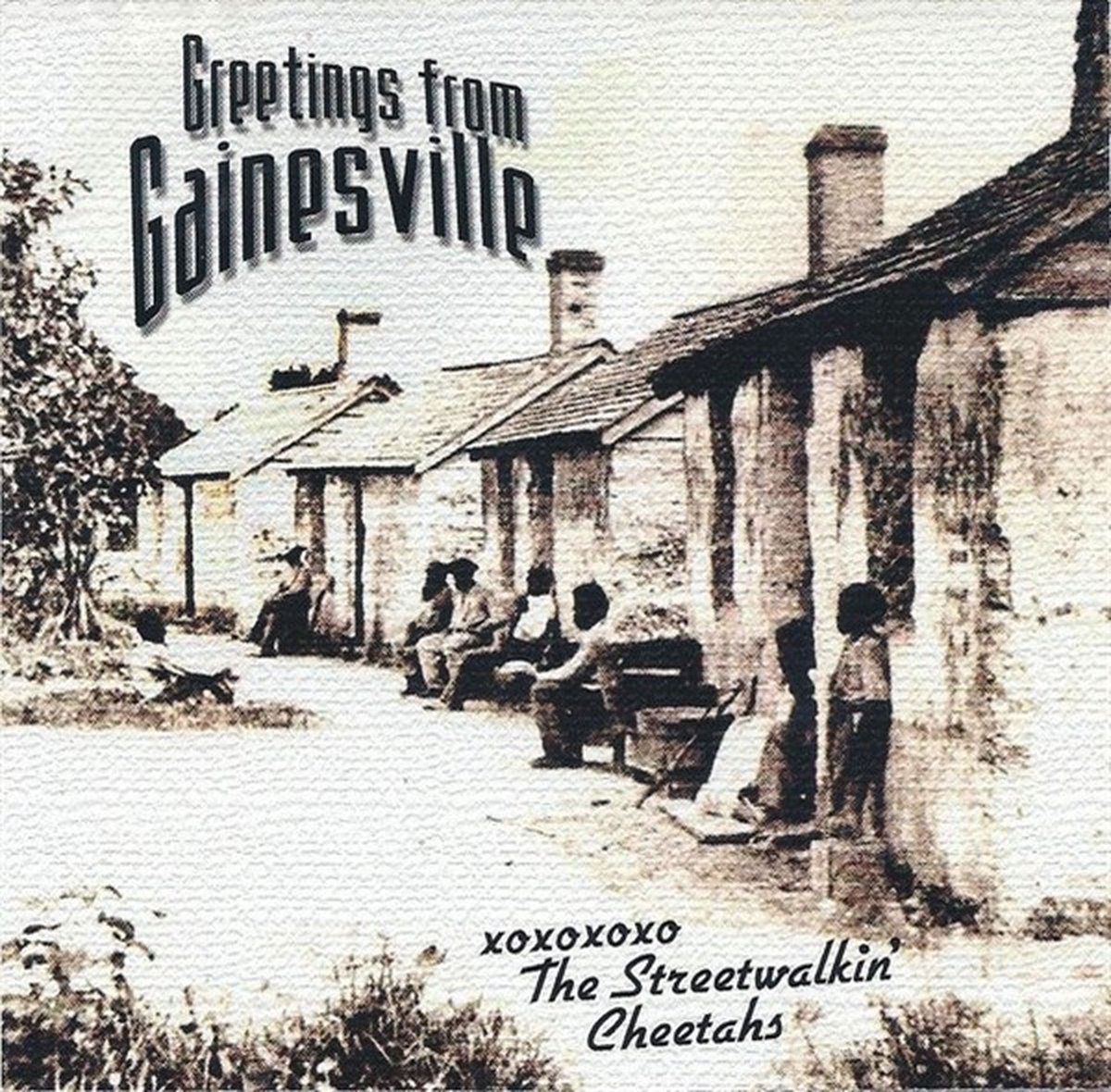 Streetwalkin' Cheetahs - Greetings From Gainsville (CD)