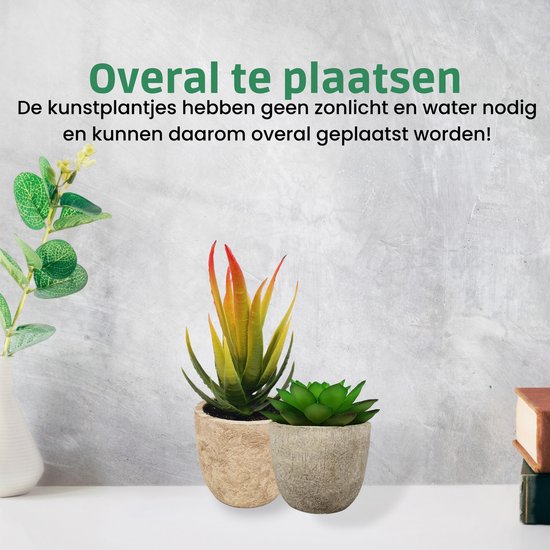 Groene en geel-rode kunstvetplantjes in stenen potjes. "Overal te plaatsen, De kunstplantjes hebben geen zonlicht en water nodig en kunnen daarom overal geplaatst worden!"