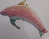 Regenboog dolfijn 100x70cm