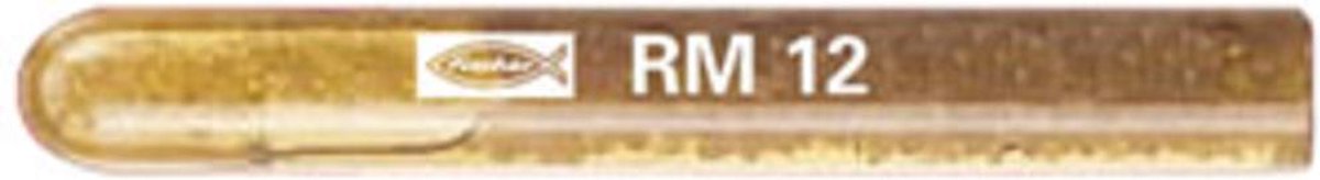 Fischer Chemisch Anker RM 12