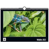 WWF Wandkalender 2023 - maandkalender - 12 schitterende dierenfoto's