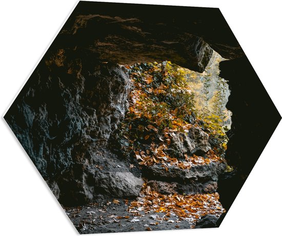 WallClassics - PVC Schuimplaat Hexagon  - Herfstbladeren in Kleine Grot - 80x69.6 cm Foto op Hexagon (Met Ophangsysteem)
