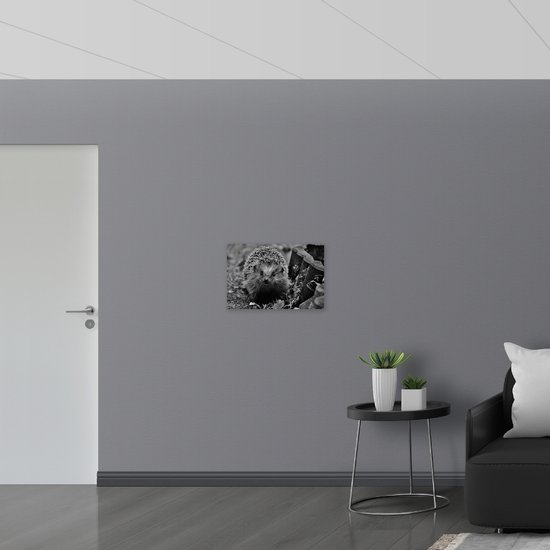 WallClassics - Drapeau - Hérisson dans le Jardin Zwart/ Wit - Photo 60x40 cm sur drapeau en polyester