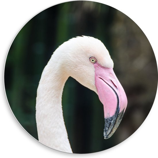 WallClassics - PVC Schuimplaat Muurcirkel - Witte Flamingo met Roze Snavel - 50x50 cm Foto op Muurcirkel (met ophangsysteem)