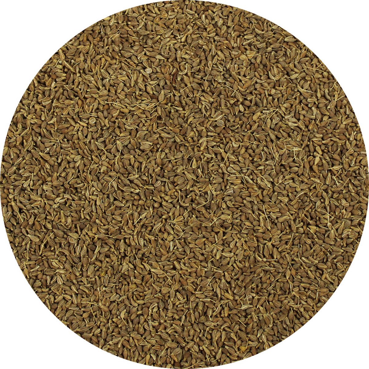 Goedkoopste Van Beekum Specerijen - Anijszaad Heel - 20 KG - Zak (bulk verpakking