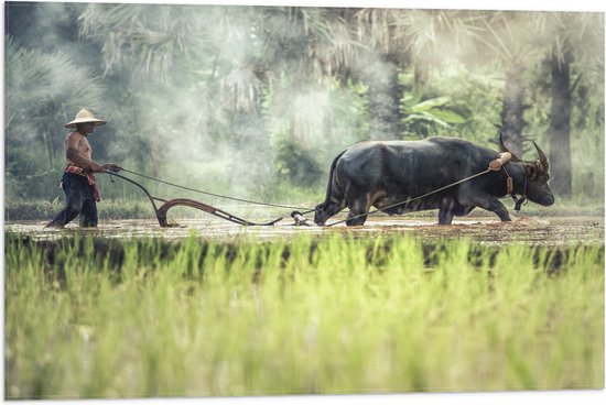 WallClassics - Drapeau - Agriculteur asiatique au travail - Photo 75 x 50 cm sur drapeau en polyester