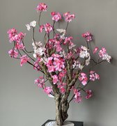 Seta Fiori - kerselaar - donker roze / wit - 75 cm -