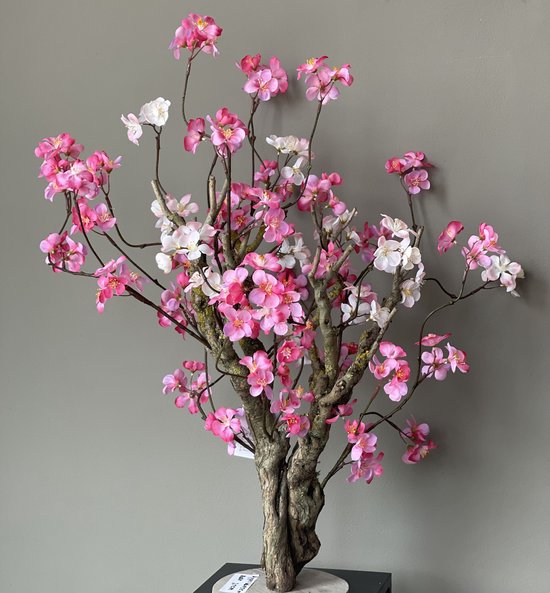 Seta Fiori - cerisier - rose foncé / blanc - 75 cm -