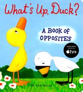 Duck & Goose - What's Up, Duck?