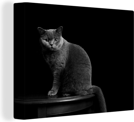 Canvas Schilderij Portret van een Britse korthaar kat - zwart wit - 120x90 cm - Wanddecoratie