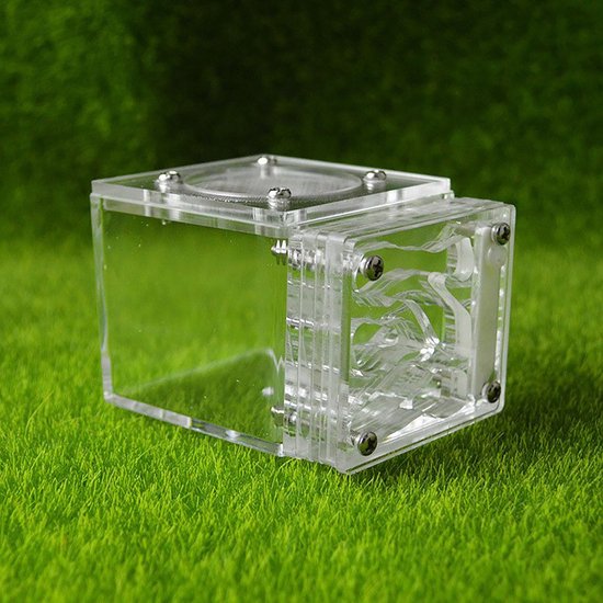 Mierenboerderij maken van plexiglas | Zo doe je dat