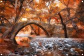 Tuinposter - Stenen brug in het bos tijdens de herfst - omgezoomde rand - 120x80cm