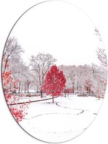 WallClassics - Dibond Ovaal - Rode Boom in de Sneeuw - 72x96 cm Foto op Ovaal (Met Ophangsysteem)