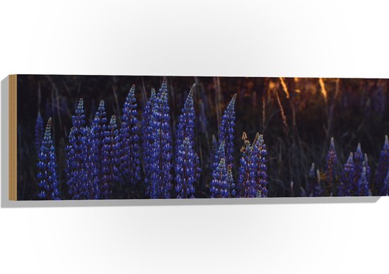 WallClassics - Hout - Blauwe Lupine Plant - 90x30 cm - 12 mm dik - Foto op Hout (Met Ophangsysteem)